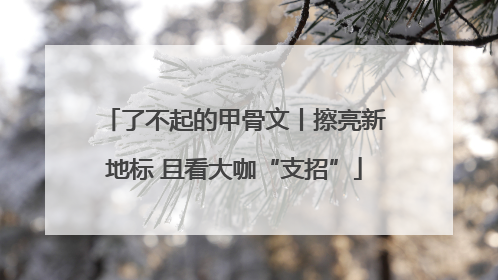了不起的甲骨文丨擦亮新地标 且看大咖“支招”