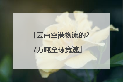 云南空港物流的27万吨全球竞速