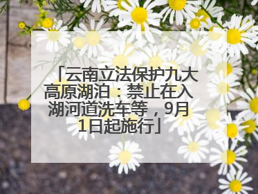 云南立法保护九大高原湖泊：禁止在入湖河道洗车等，9月1日起施行