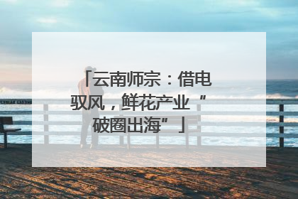 云南师宗：借电驭风，鲜花产业“破圈出海”