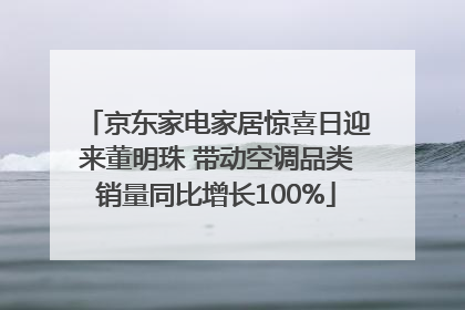 京东家电家居惊喜日迎来董明珠 带动空调品类销量同比增长100%