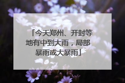 今天郑州、开封等地有中到大雨，局部暴雨或大暴雨
