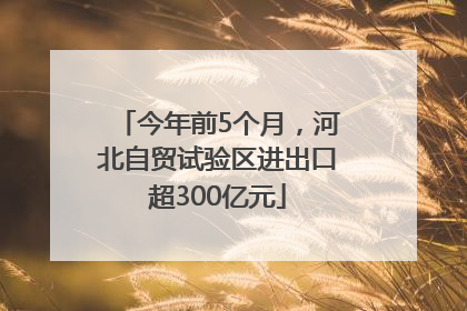 今年前5个月，河北自贸试验区进出口超300亿元