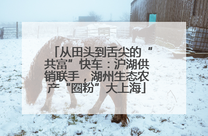 从田头到舌尖的“共富”快车：沪湖供销联手，湖州生态农产“圈粉”大上海