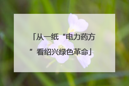 从一纸“电力药方”看绍兴绿色革命