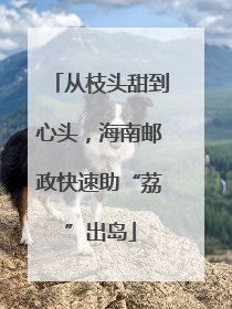 从枝头甜到心头，海南邮政快速助“荔”出岛