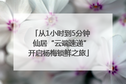 从1小时到5分钟 仙居“云端速递”开启杨梅锁鲜之旅