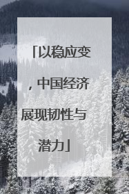 以稳应变，中国经济展现韧性与潜力