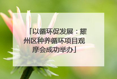 以循环促发展：耀州区种养循环项目观摩会成功举办