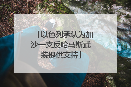以色列承认为加沙一支反哈马斯武装提供支持