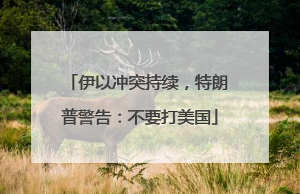 伊以冲突持续，特朗普警告：不要打美国