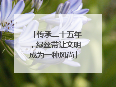 传承二十五年，绿丝带让文明成为一种风尚