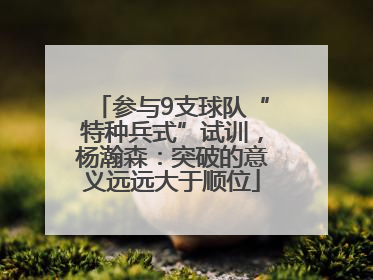参与9支球队“特种兵式”试训，杨瀚森：突破的意义远远大于顺位