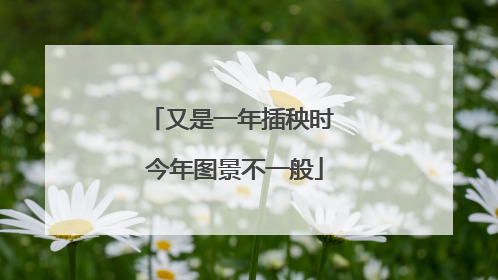 又是一年插秧时 今年图景不一般