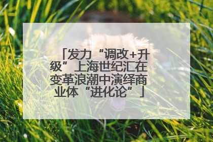 发力“调改+升级”上海世纪汇在变革浪潮中演绎商业体“进化论”
