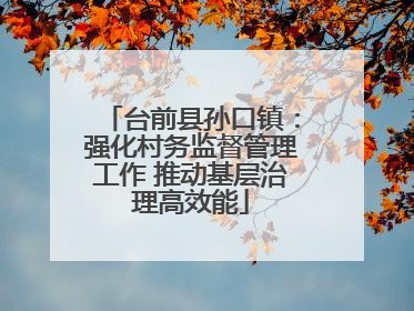 台前县孙口镇：强化村务监督管理工作 推动基层治理高效能