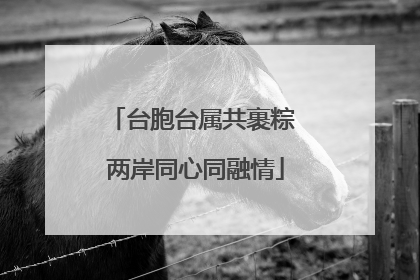 台胞台属共裹粽 两岸同心同融情