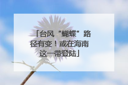 台风“蝴蝶”路径有变！或在海南这一带登陆