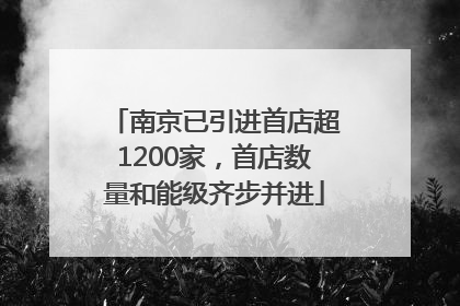 南京已引进首店超1200家，首店数量和能级齐步并进