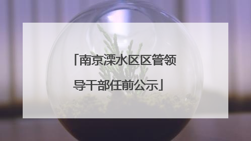 南京溧水区区管领导干部任前公示