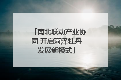 南北联动产业协同 开启菏泽牡丹发展新模式