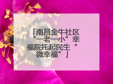 南昌金牛社区“一老一小”幸福院托起民生“微幸福”