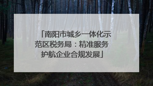 南阳市城乡一体化示范区税务局：精准服务护航企业合规发展