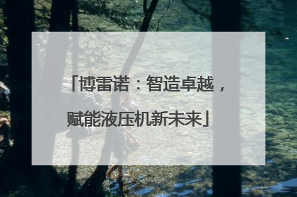 博雷诺：智造卓越，赋能液压机新未来