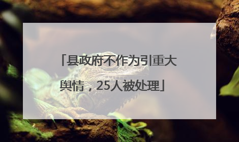 县政府不作为引重大舆情，25人被处理