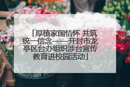 厚植家国情怀 共筑统一信念——开封市龙亭区台办组织涉台宣传教育进校园活动