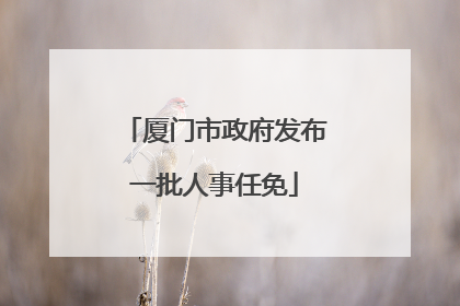 厦门市政府发布一批人事任免