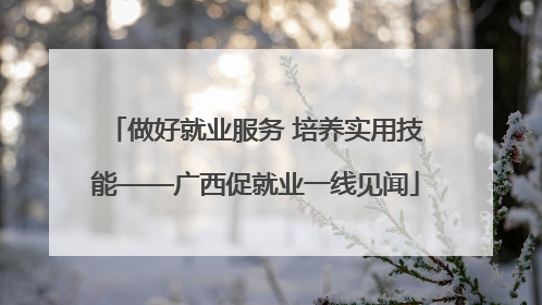 做好就业服务 培养实用技能——广西促就业一线见闻