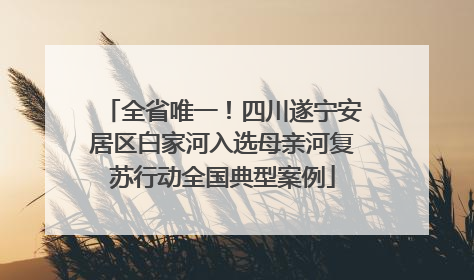 全省唯一！四川遂宁安居区白家河入选母亲河复苏行动全国典型案例