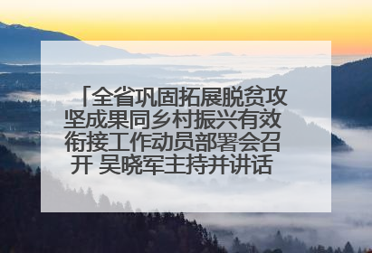 全省巩固拓展脱贫攻坚成果同乡村振兴有效衔接工作动员部署会召开 吴晓军主持并讲话 罗东川作安排部署