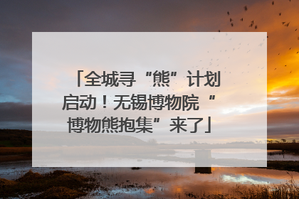 全城寻“熊”计划启动！无锡博物院“博物熊抱集”来了