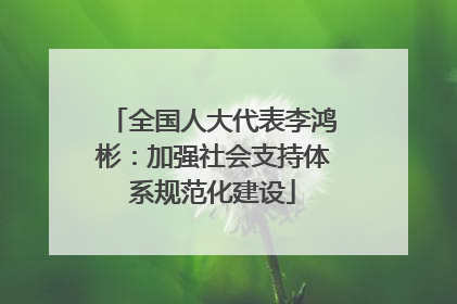 全国人大代表李鸿彬：加强社会支持体系规范化建设