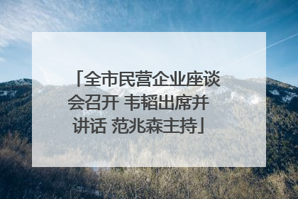 全市民营企业座谈会召开 韦韬出席并讲话 范兆森主持