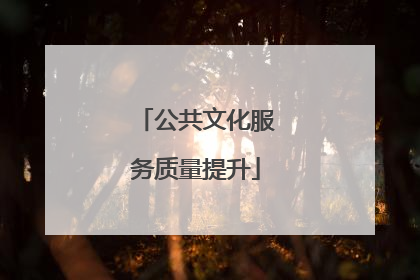 公共文化服务质量提升