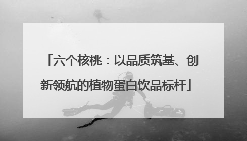 六个核桃：以品质筑基、创新领航的植物蛋白饮品标杆