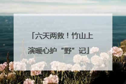 六天两救！竹山上演暖心护“野”记