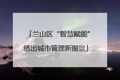 兰山区“智慧赋能”绣出城市管理新图景