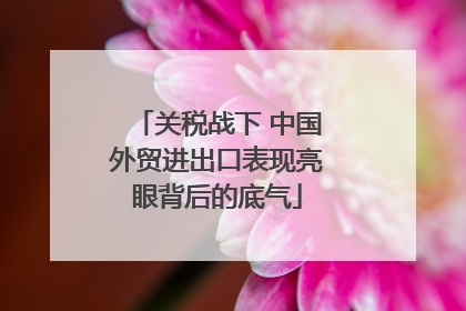 关税战下 中国外贸进出口表现亮眼背后的底气