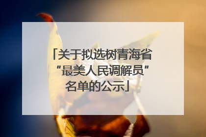 关于拟选树青海省“最美人民调解员” 名单的公示