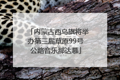 内蒙古西乌旗将举办第三届草原99号公路音乐那达慕