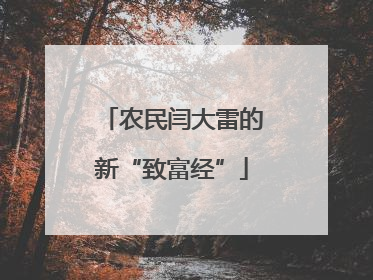 农民闫大雷的新“致富经”