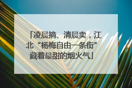 凌晨摘、清晨卖，江北“杨梅自由一条街”藏着最甜的烟火气