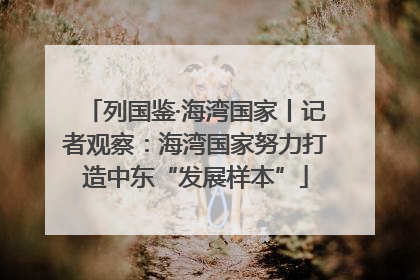 列国鉴·海湾国家丨记者观察：海湾国家努力打造中东“发展样本”