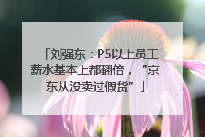 刘强东：P5以上员工薪水基本上都翻倍，“京东从没卖过假货”