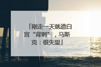 刚走一天就遭白宫“背刺”，马斯克：很失望