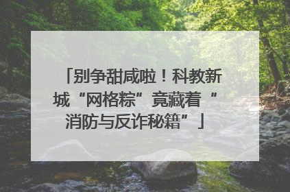 别争甜咸啦！科教新城“网格粽”竟藏着“消防与反诈秘籍”